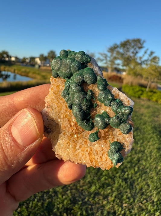 Barite with Botryoidal Malachite | Rare Congo Mineral | Flat Barite Crystals | Collector Specimen
