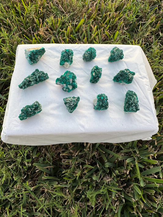 Dioptase on Quartz Lot | Congo Green Crystals | Small Specimens 1–2 Inch | Collector Quality