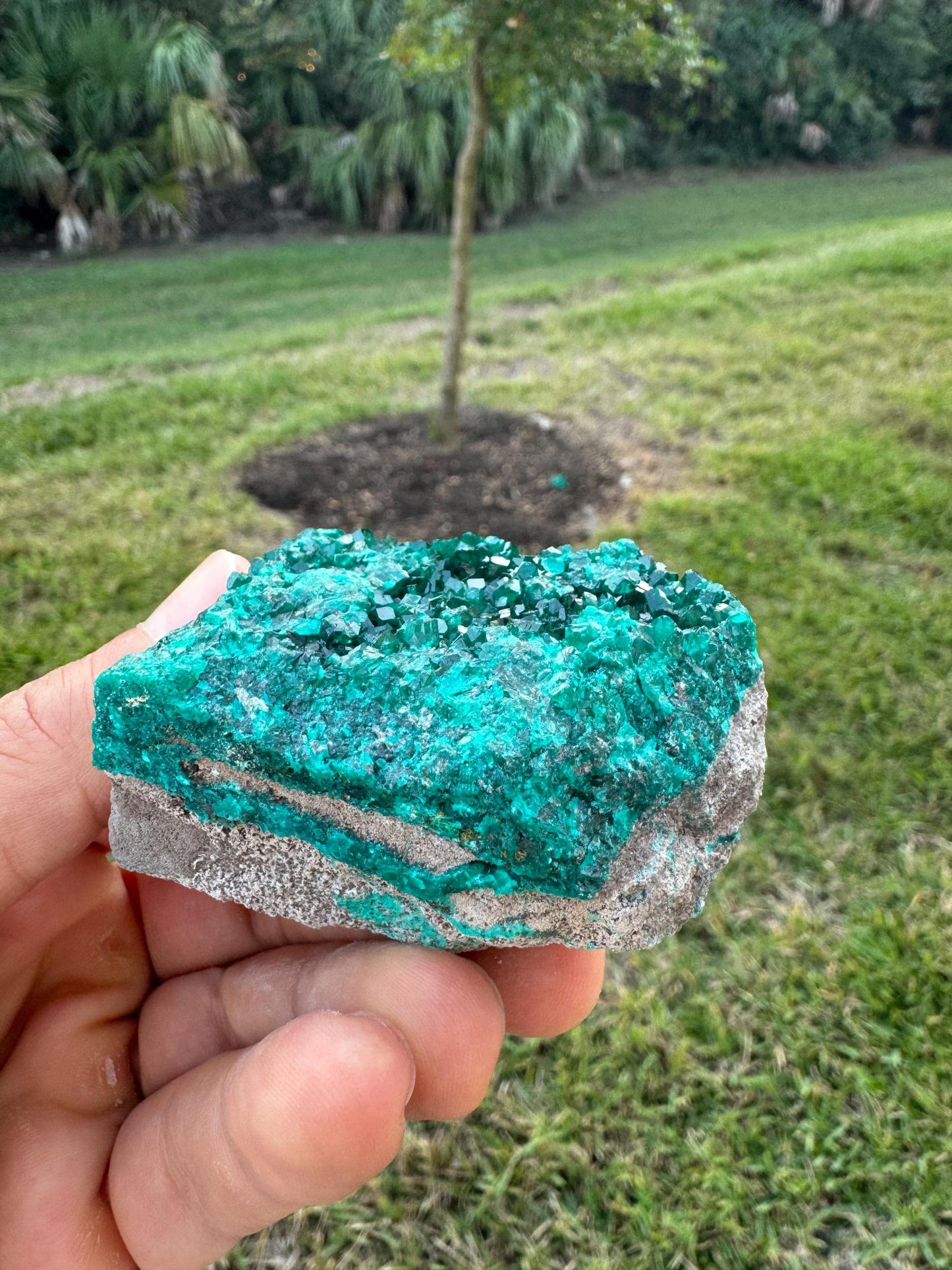 Natural Dioptase Crystal on Matrix – Green Gem Cluster from Congo