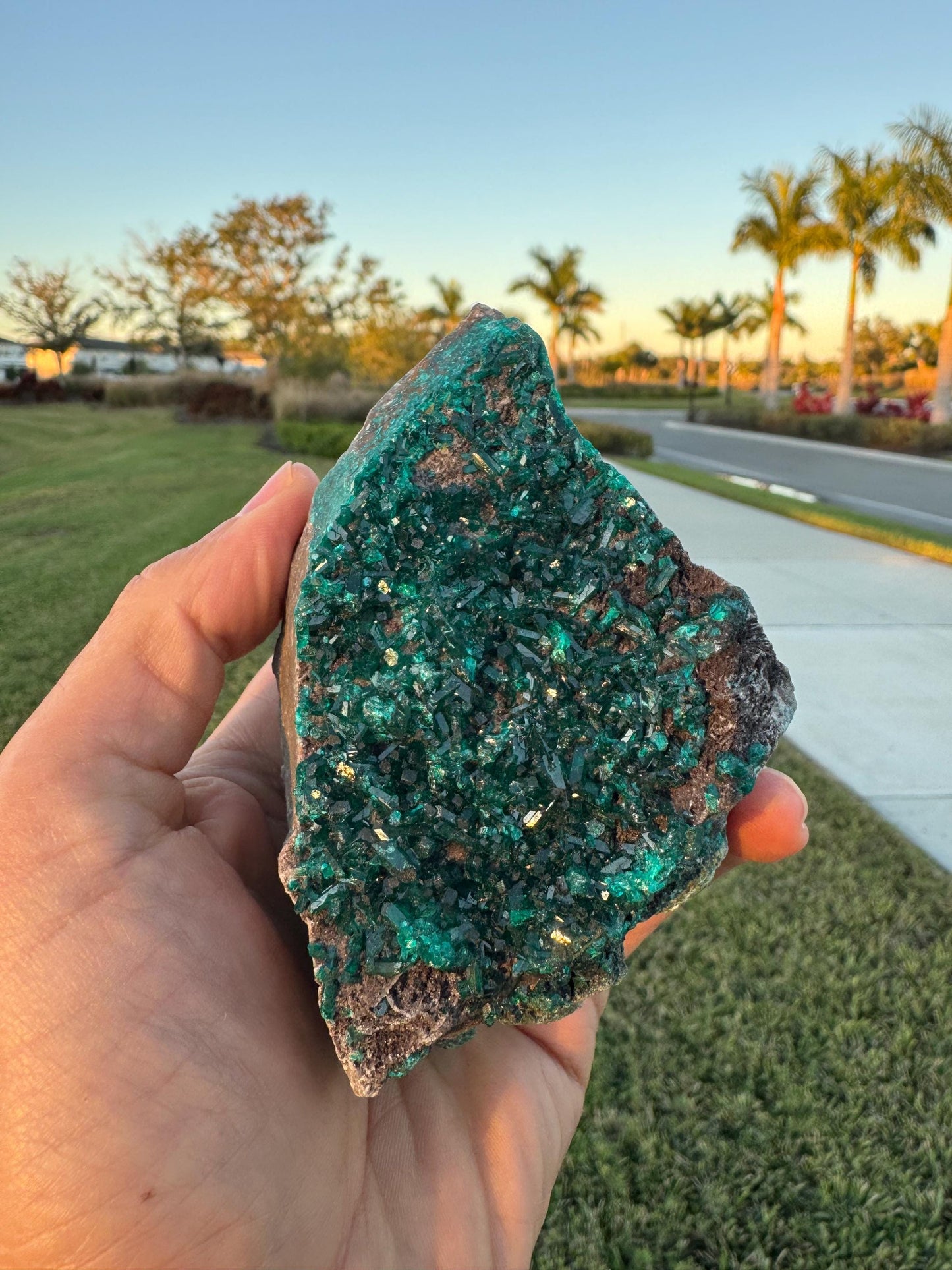 Dioptase Crystal Cluster from Congo – Deep Green Elongated Crystals