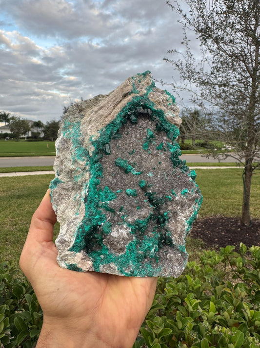 Large Green Dioptase with Calcite Specimen – Congo Collector Display Crystal