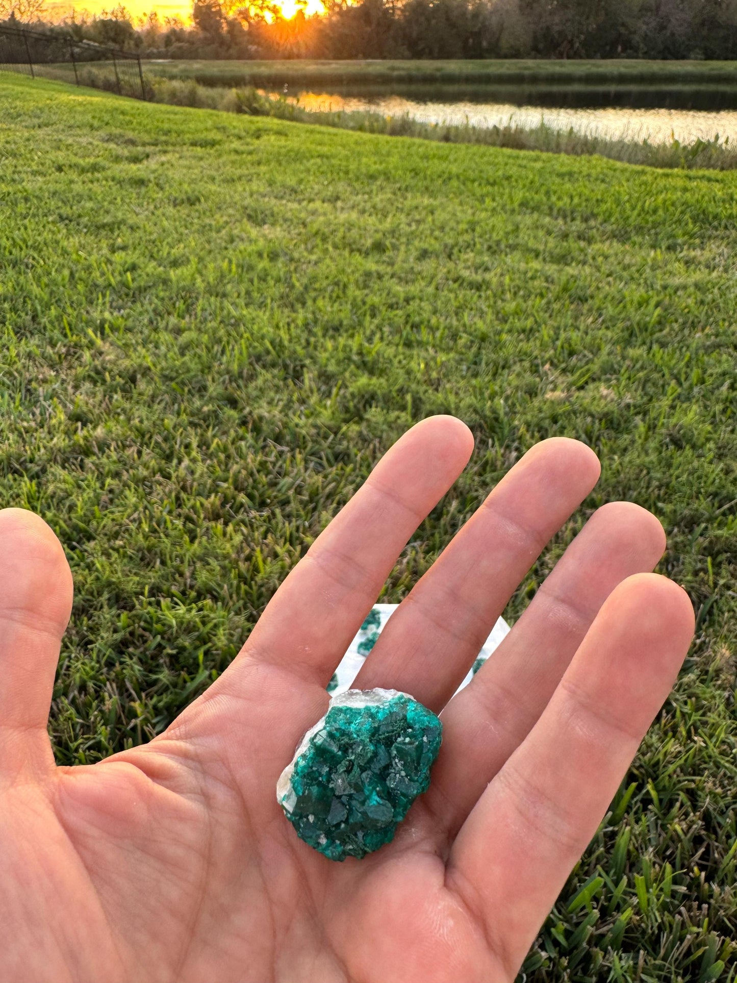 Dioptase on Quartz Lot | Congo Green Crystals | Small Specimens 1–2 Inch | Collector Quality