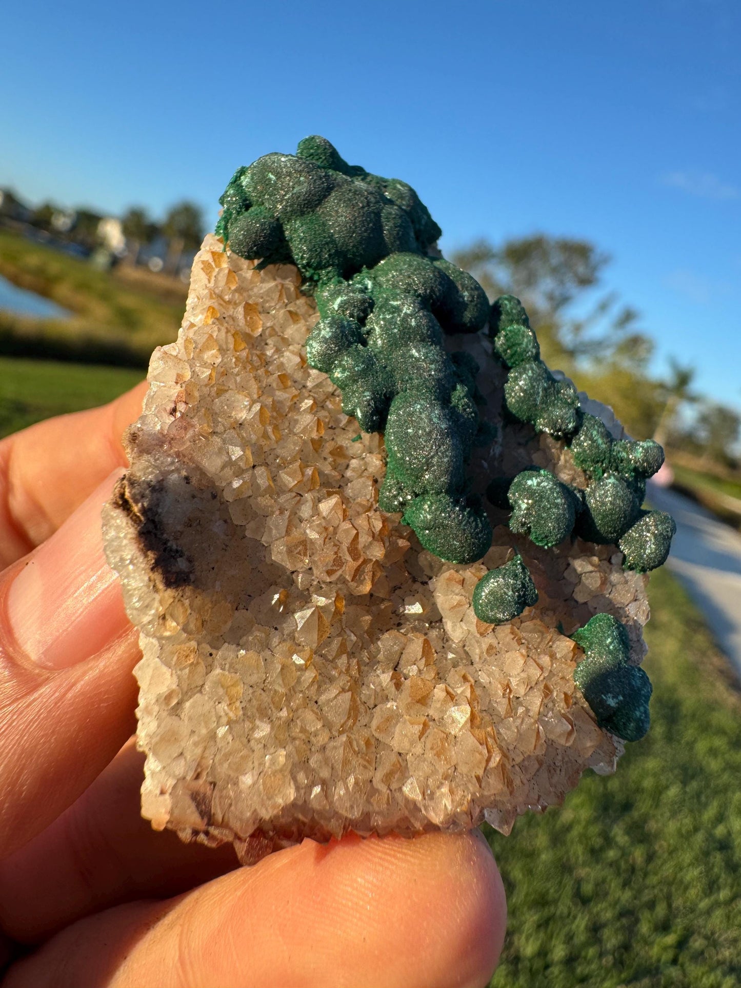 Barite with Botryoidal Malachite | Rare Congo Mineral | Flat Barite Crystals | Collector Specimen
