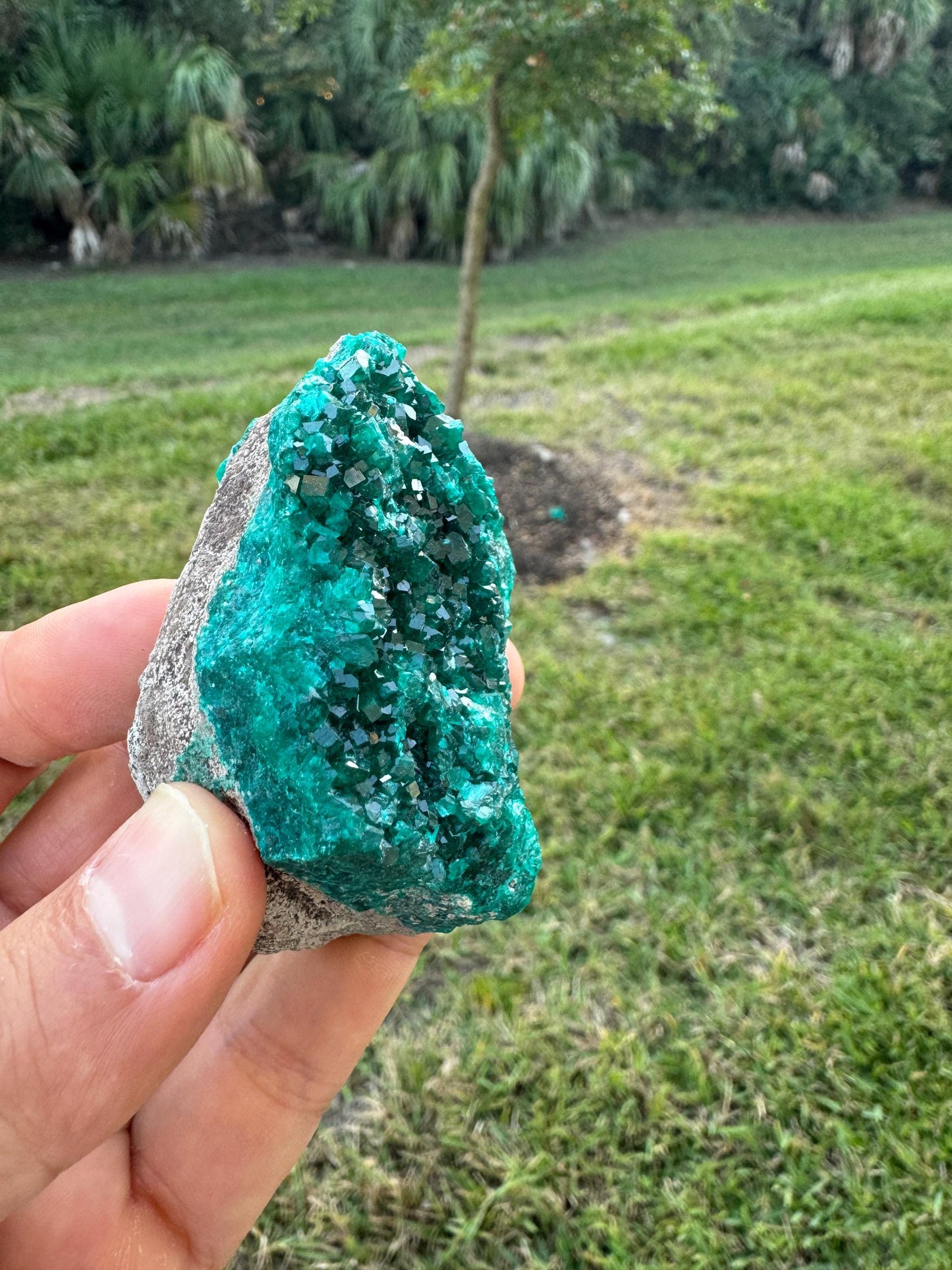 Natural Dioptase Crystal on Matrix – Green Gem Cluster from Congo