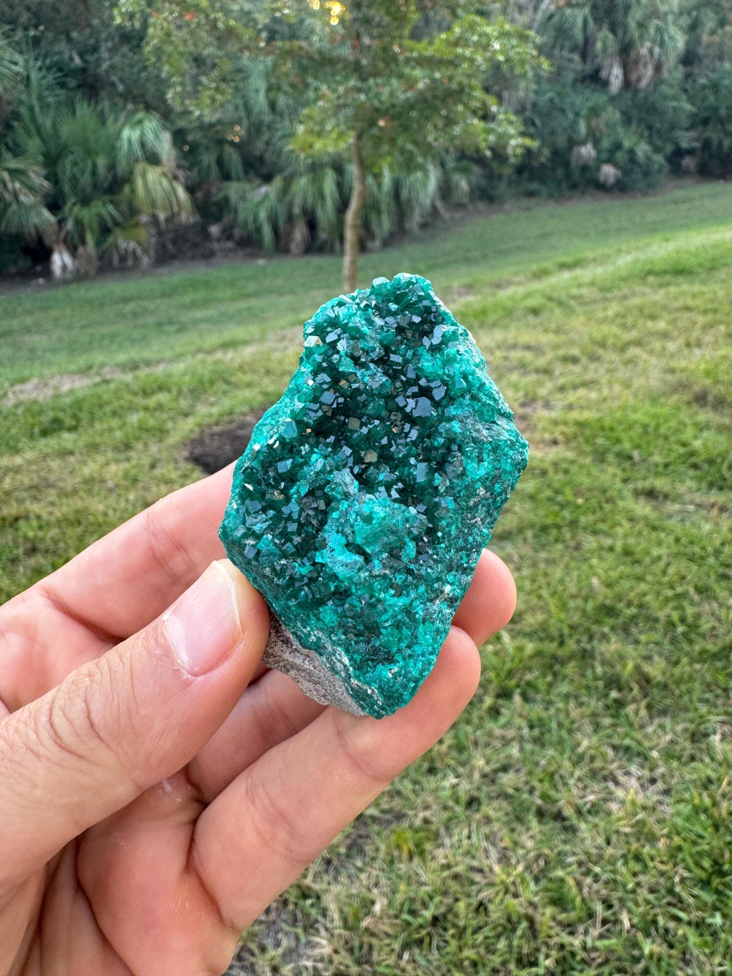 Natural Dioptase Crystal on Matrix – Green Gem Cluster from Congo