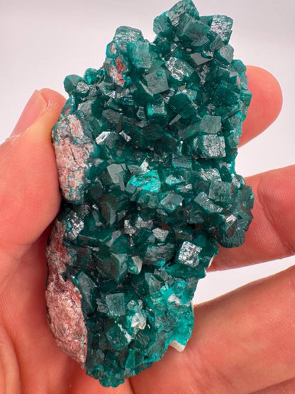 Natural Dioptase on Quartz – Jobtaz from Congo – Vivid Green Crystal Cluster – Collector Mineral Specimen