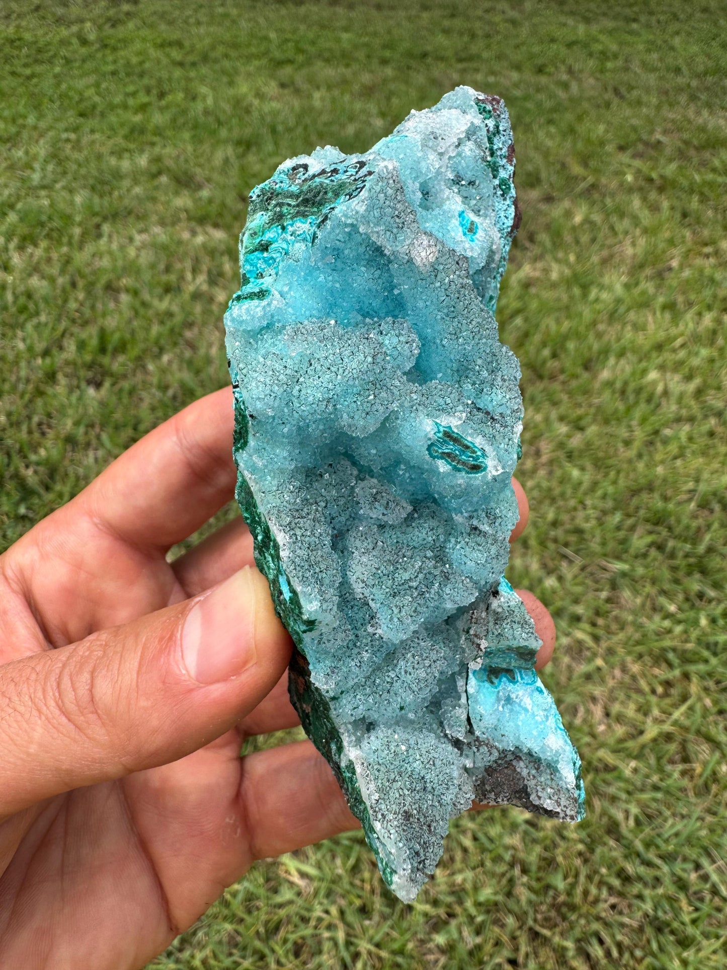 Drusy Chrysocolla Specimen – Rare Blue Mineral from Lubumbashi, Katanga (Congo) – Collectible Crystal