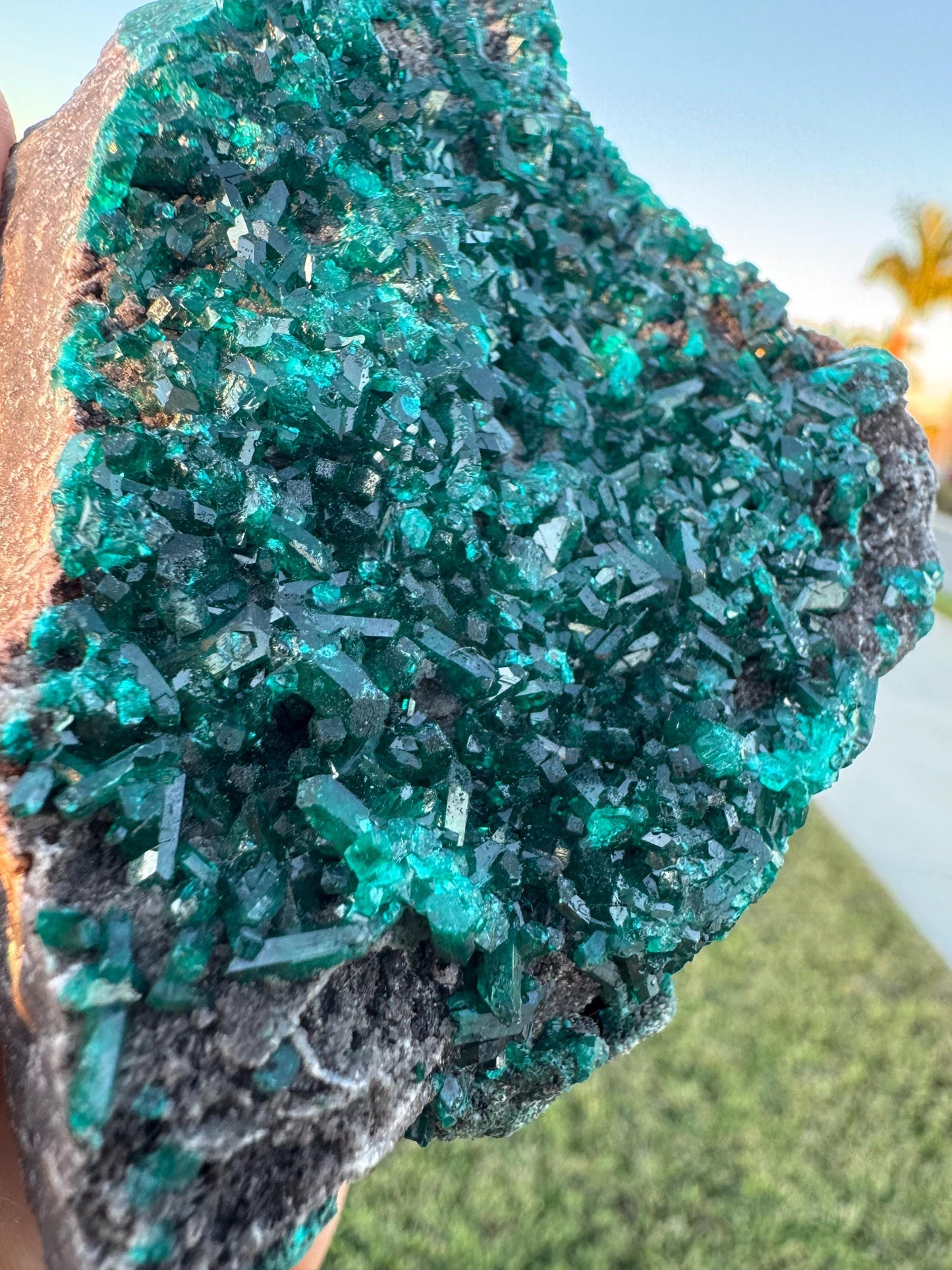 Dioptase Crystal Cluster from Congo – Deep Green Elongated Crystals