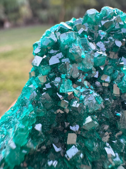 Natural Dioptase Crystal on Matrix – Green Gem Cluster from Congo