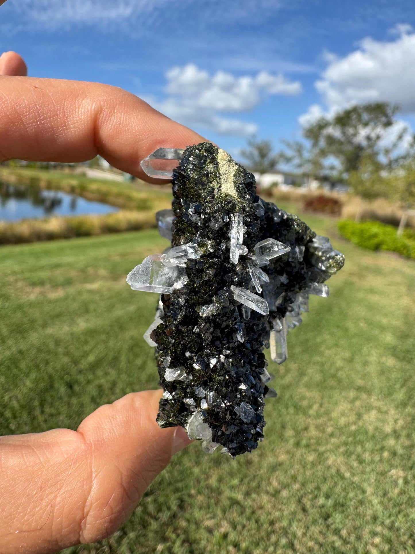 Double-Sided Epidote with Quartz – Rare Natural Crystal Specimen – Collector Mineral