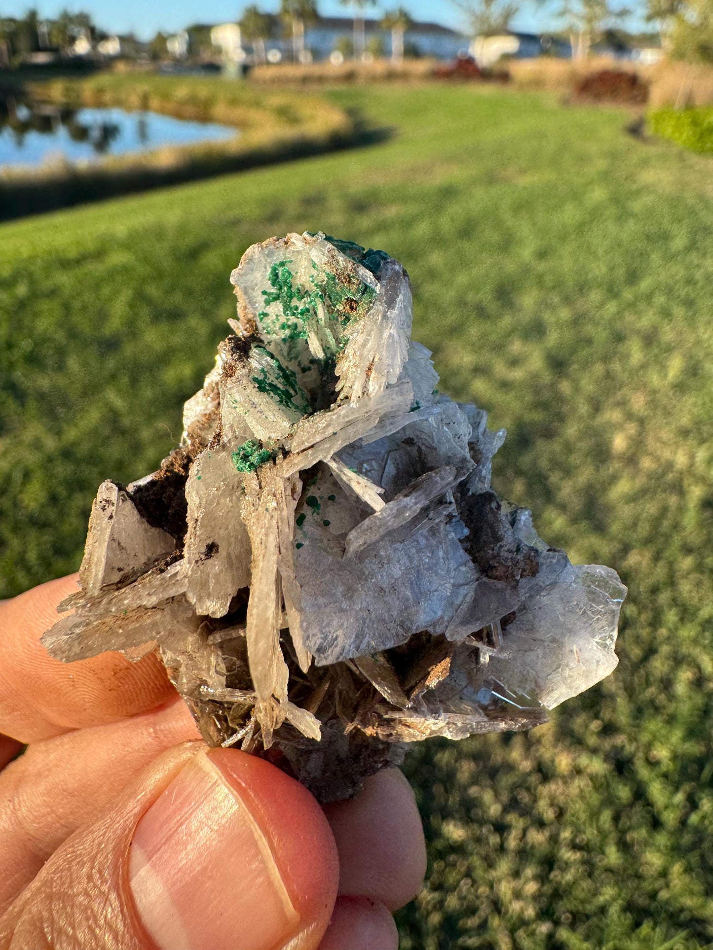 Barite with Malachite | Rare Congo Mineral Specimen | Flat Barite Crystals | Collector Piece