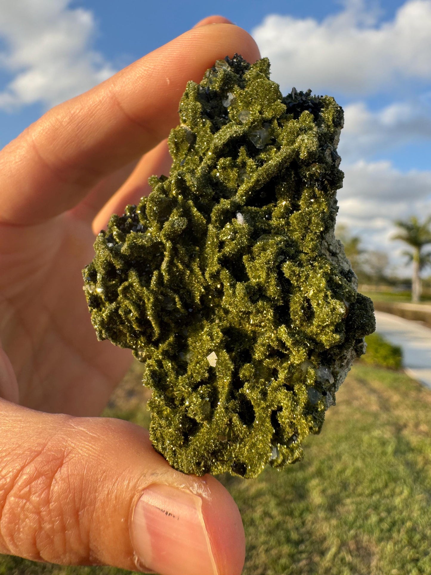High-Grade Green Epidote with Quartz – Forest Green Crystal Cluster from Turkey
