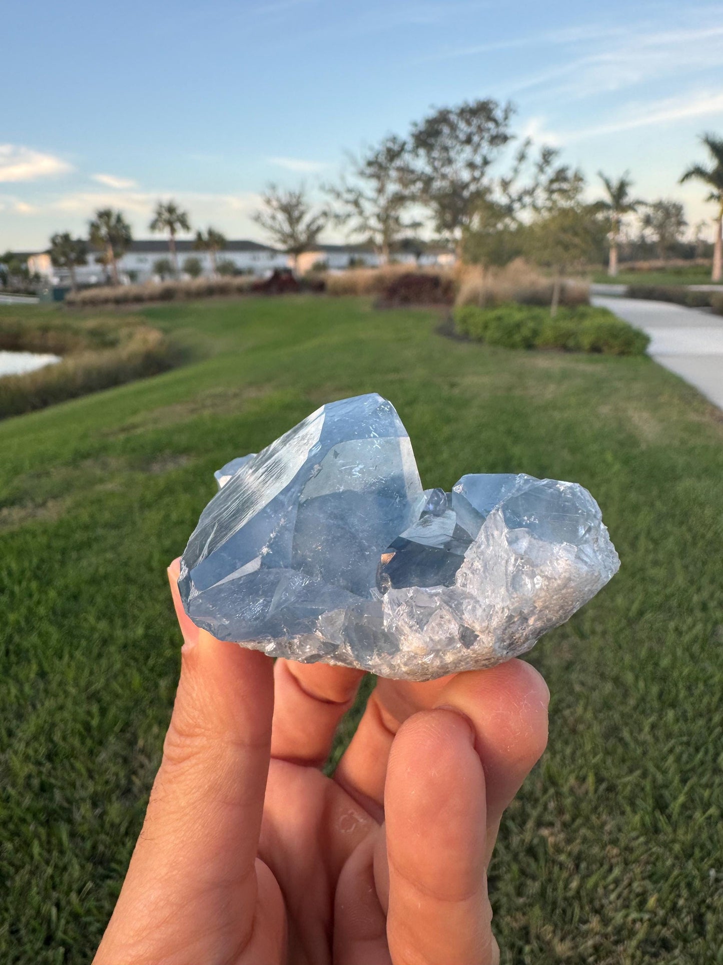 Celestite Geode from Madagascar – Handheld Specimen with Large Transparent Crystal – Meditation & Collector Mineral