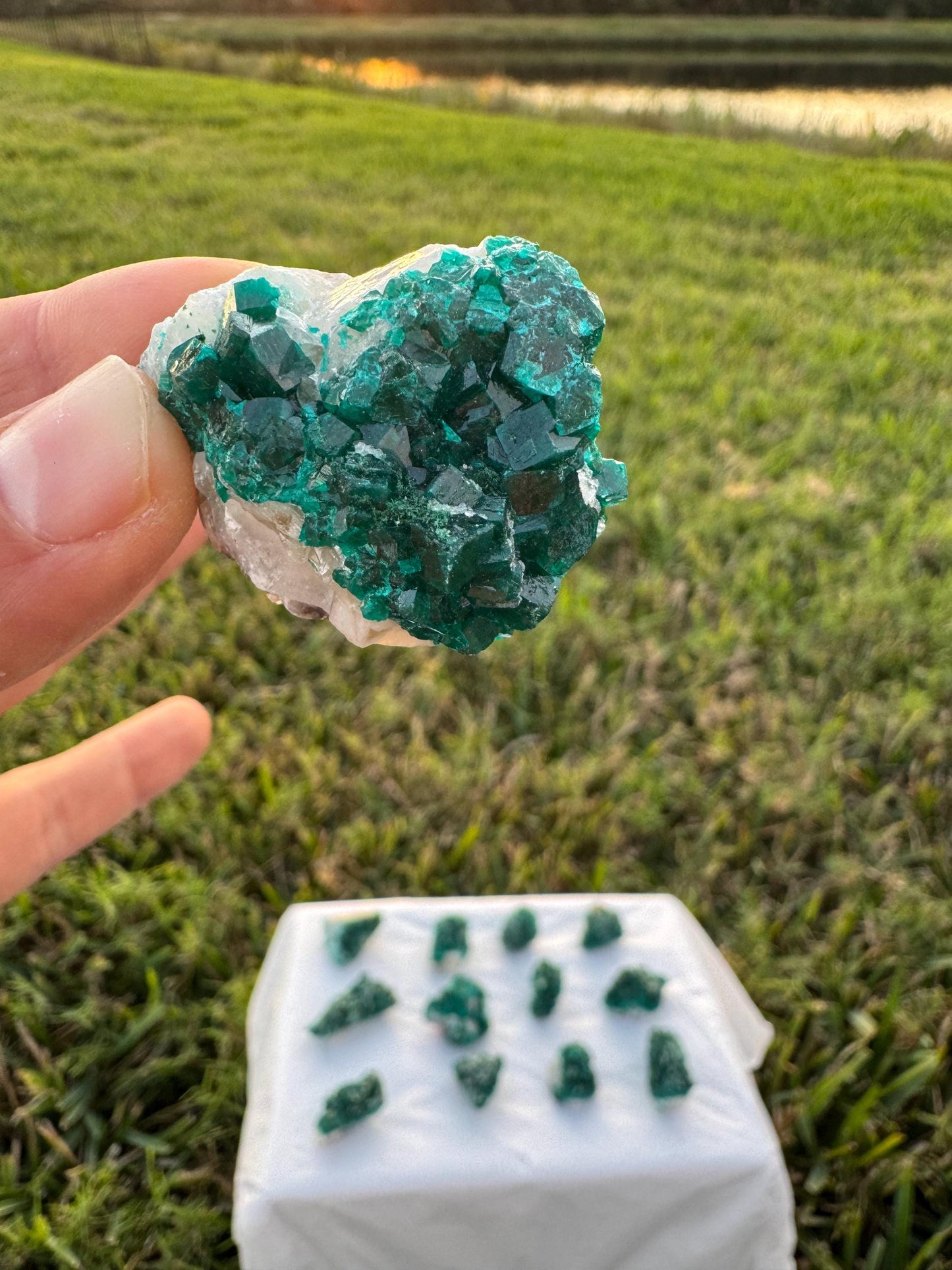 Dioptase on Quartz Lot | Congo Green Crystals | Small Specimens 1–2 Inch | Collector Quality