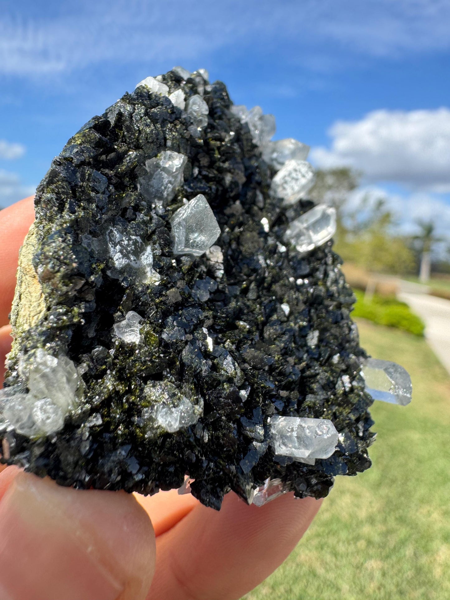 Double-Sided Epidote with Quartz – Rare Natural Crystal Specimen – Collector Mineral