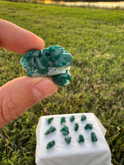 Dioptase on Quartz Lot | Congo Green Crystals | Small Specimens 1–2 Inch | Collector Quality