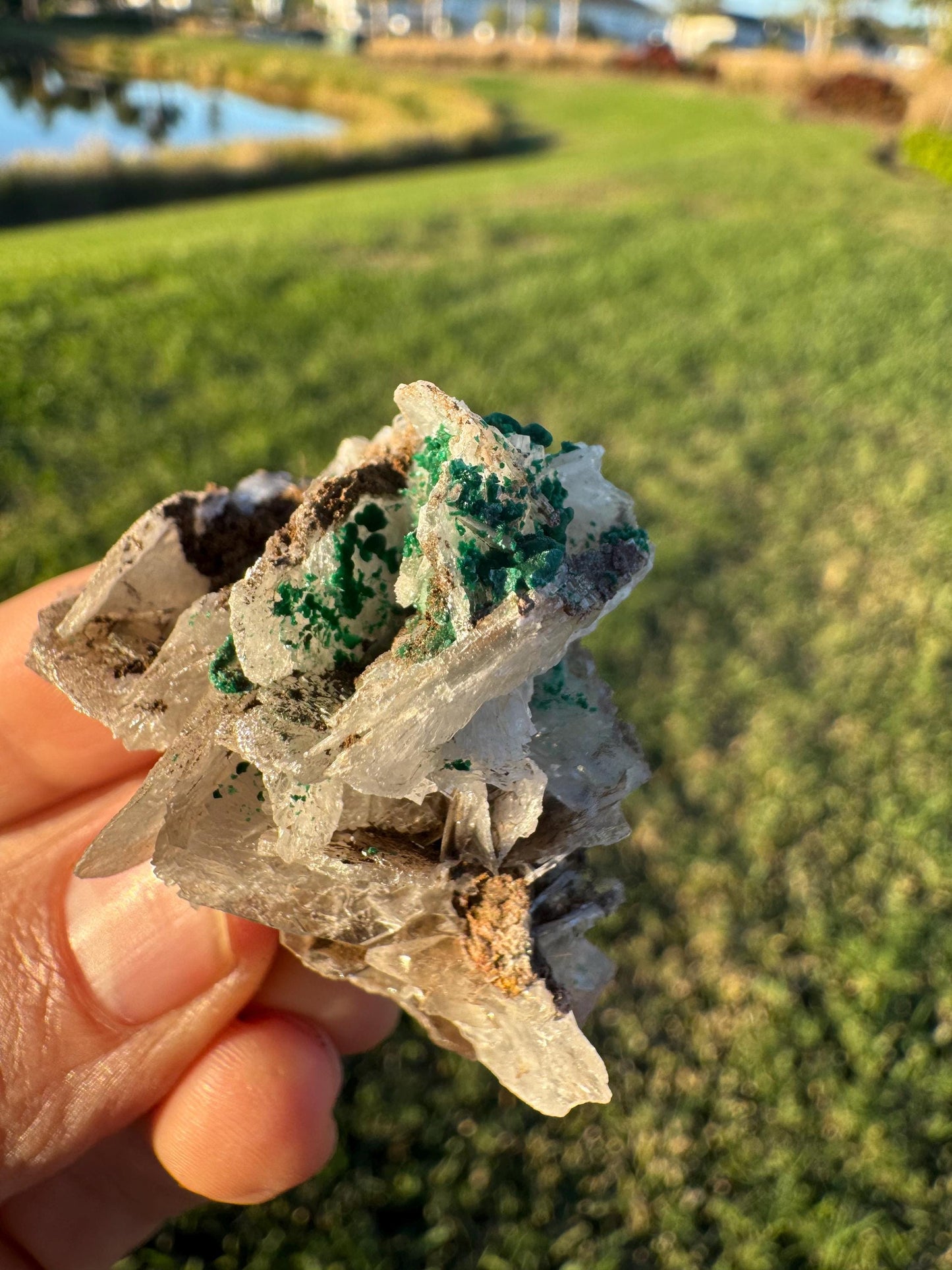 Barite with Malachite | Rare Congo Mineral Specimen | Flat Barite Crystals | Collector Piece