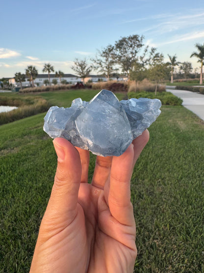 Celestite Geode from Madagascar – Handheld Specimen with Large Transparent Crystal – Meditation & Collector Mineral
