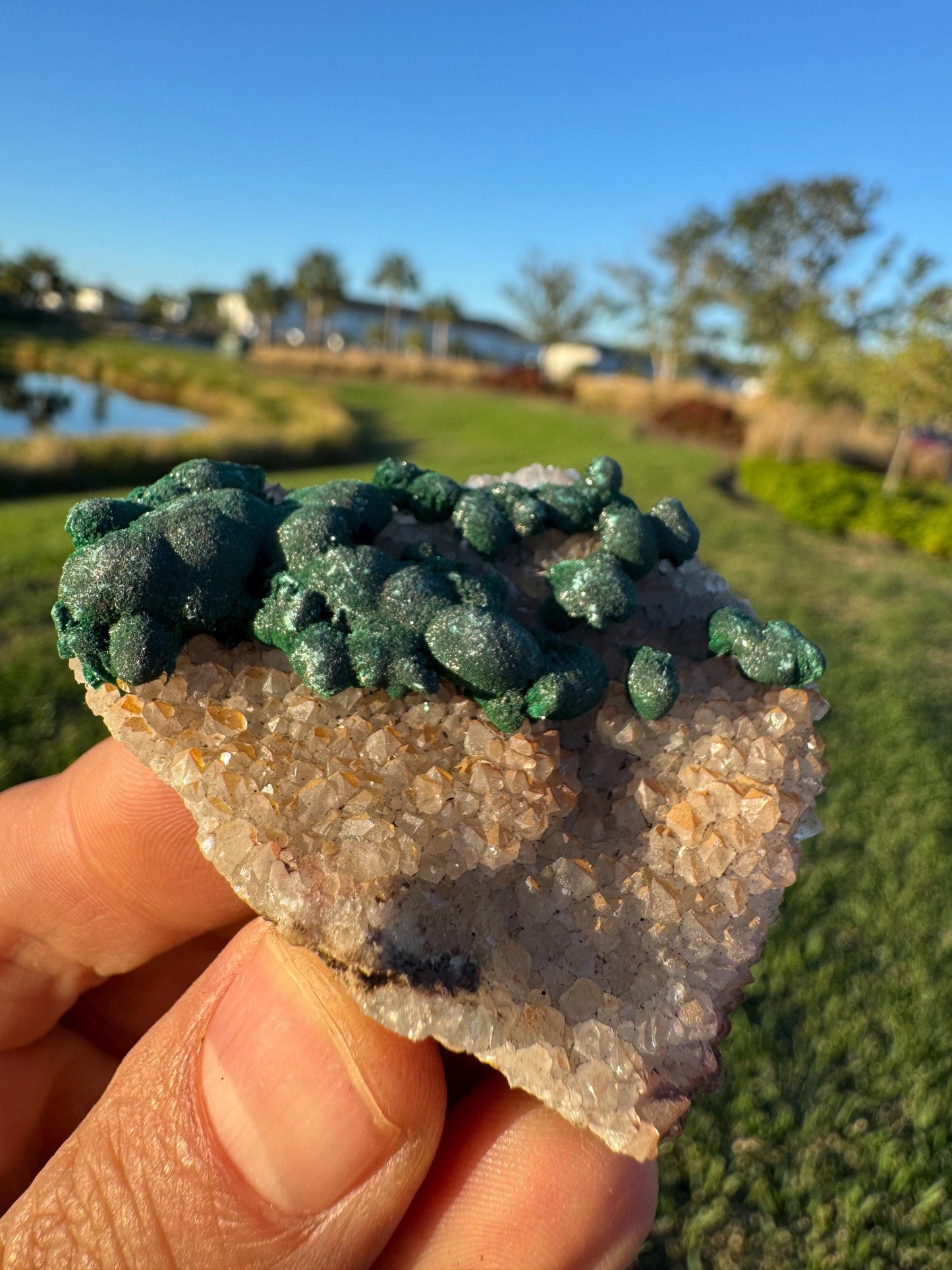 Barite with Botryoidal Malachite | Rare Congo Mineral | Flat Barite Crystals | Collector Specimen