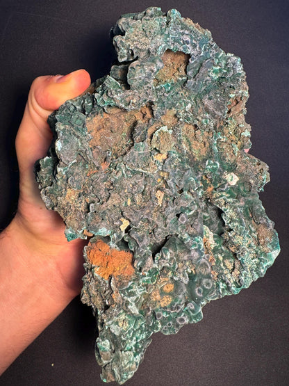 Botryoidal Malachite Specimen – Rare Mineral from Lubumbashi, Katanga (Congo) – Collectible Green Crystal