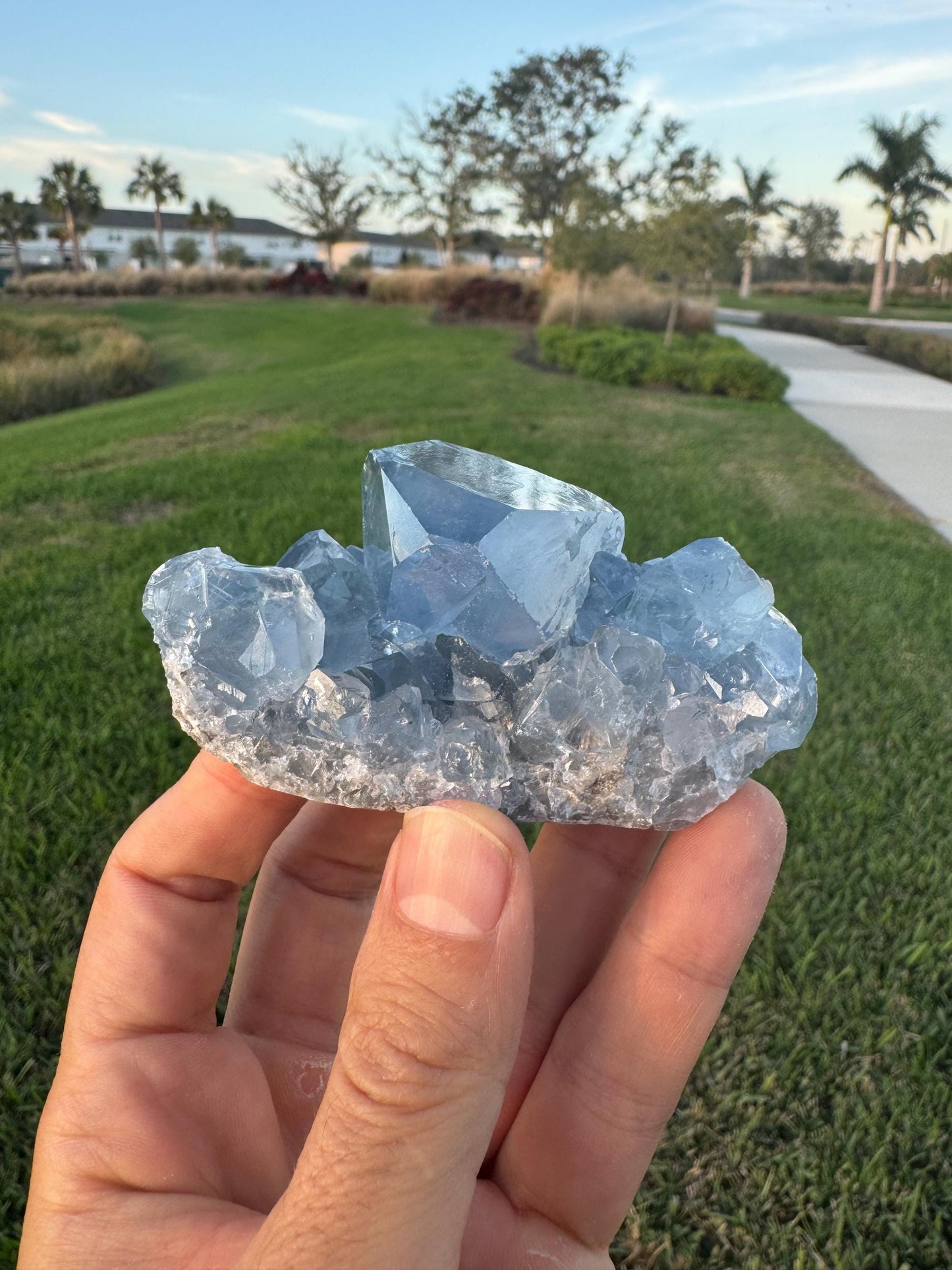 Celestite Geode from Madagascar – Handheld Specimen with Large Transparent Crystal – Meditation & Collector Mineral