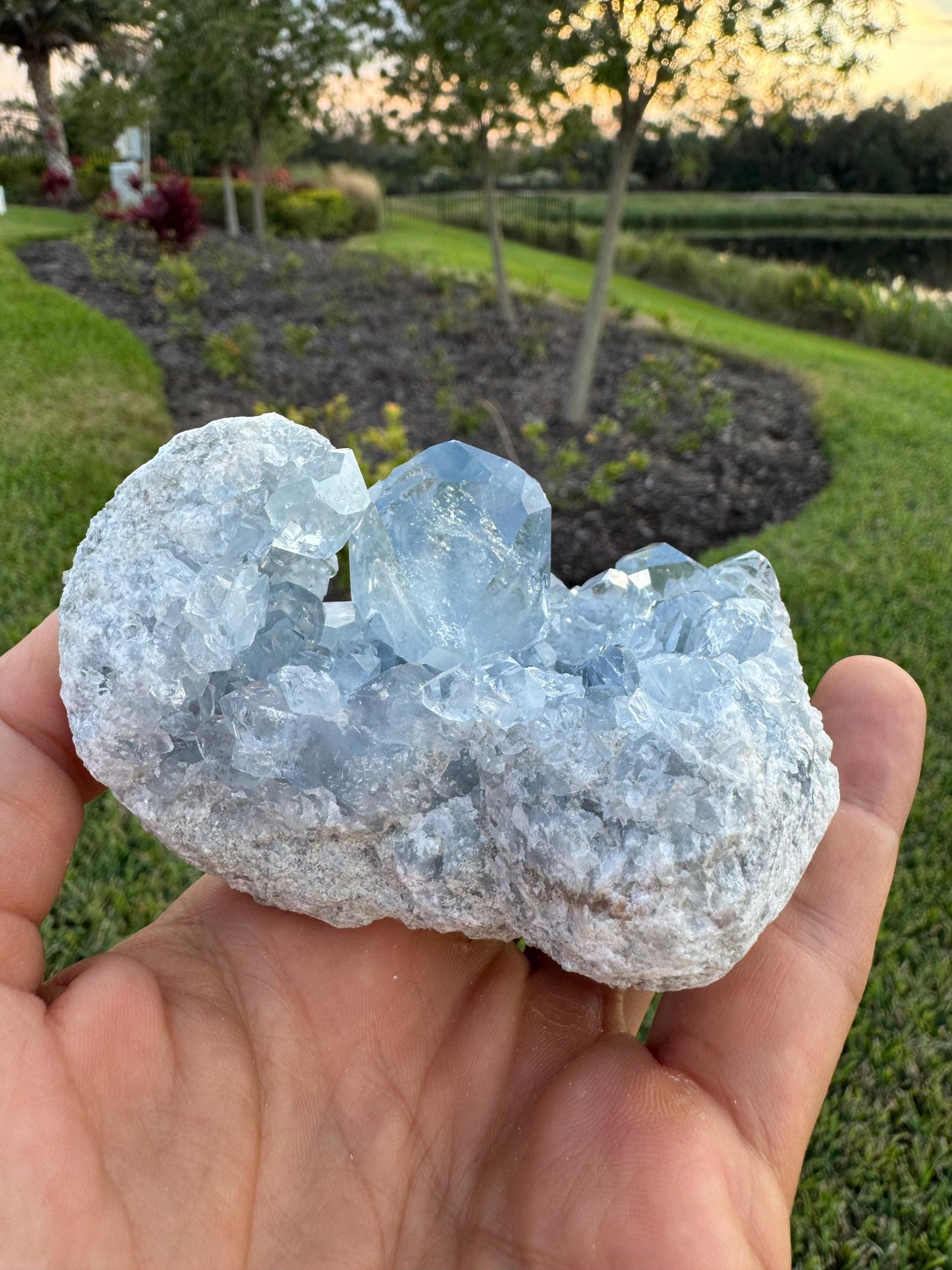 Celestine Crystal Cluster from Madagascar – Rare Blue Celestite