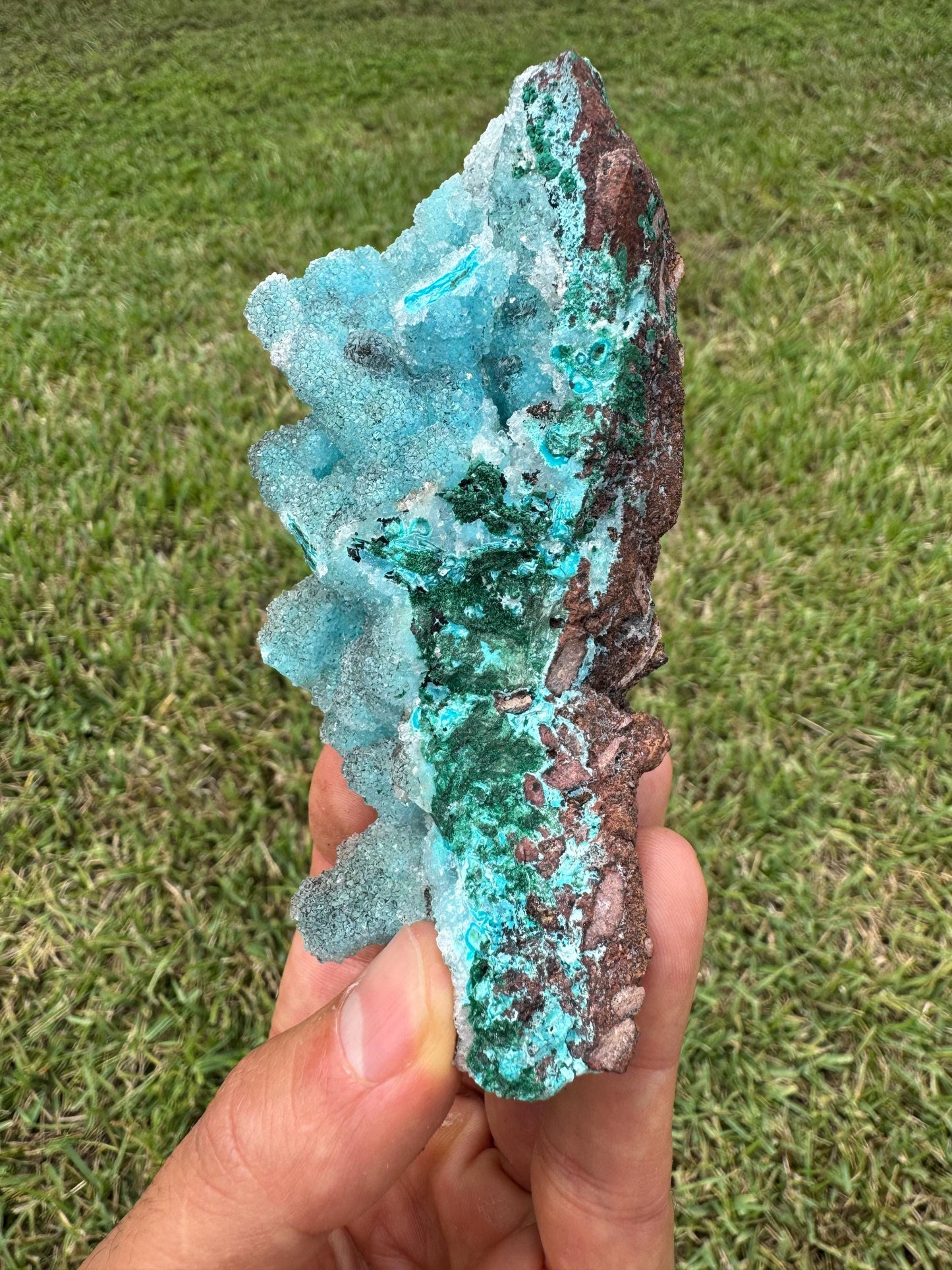 Drusy Chrysocolla Specimen – Rare Blue Mineral from Lubumbashi, Katanga (Congo) – Collectible Crystal