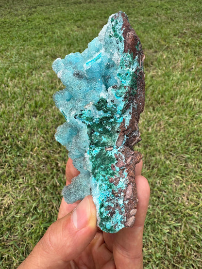 Drusy Chrysocolla Specimen – Rare Blue Mineral from Lubumbashi, Katanga (Congo) – Collectible Crystal
