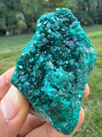 Natural Dioptase Crystal on Matrix – Green Gem Cluster from Congo