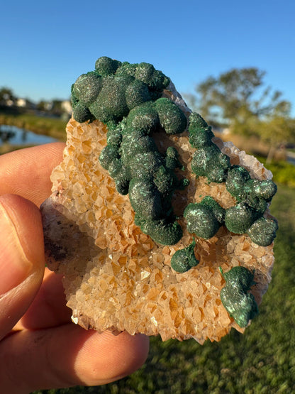 Barite with Botryoidal Malachite | Rare Congo Mineral | Flat Barite Crystals | Collector Specimen