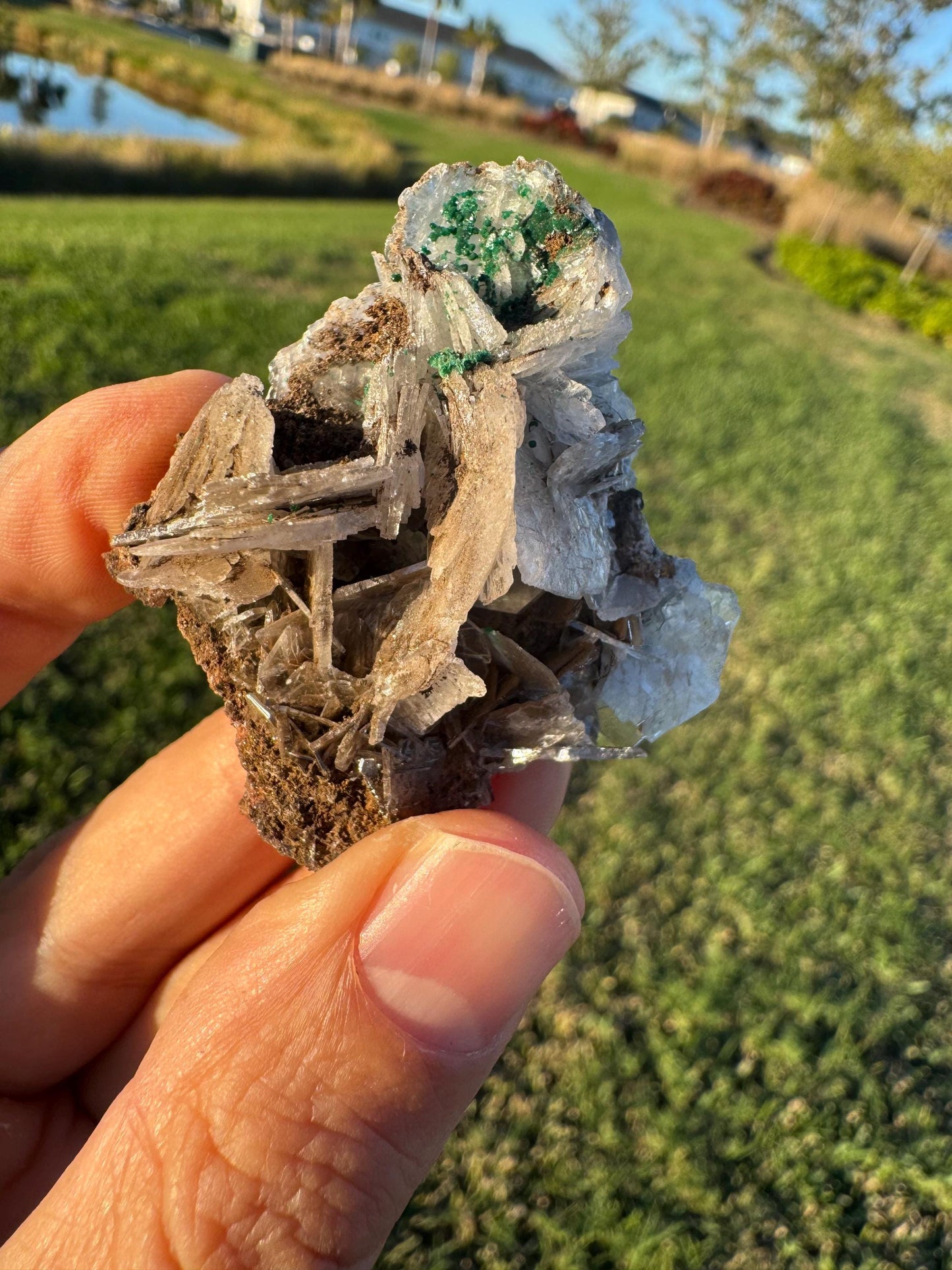 Barite with Malachite | Rare Congo Mineral Specimen | Flat Barite Crystals | Collector Piece