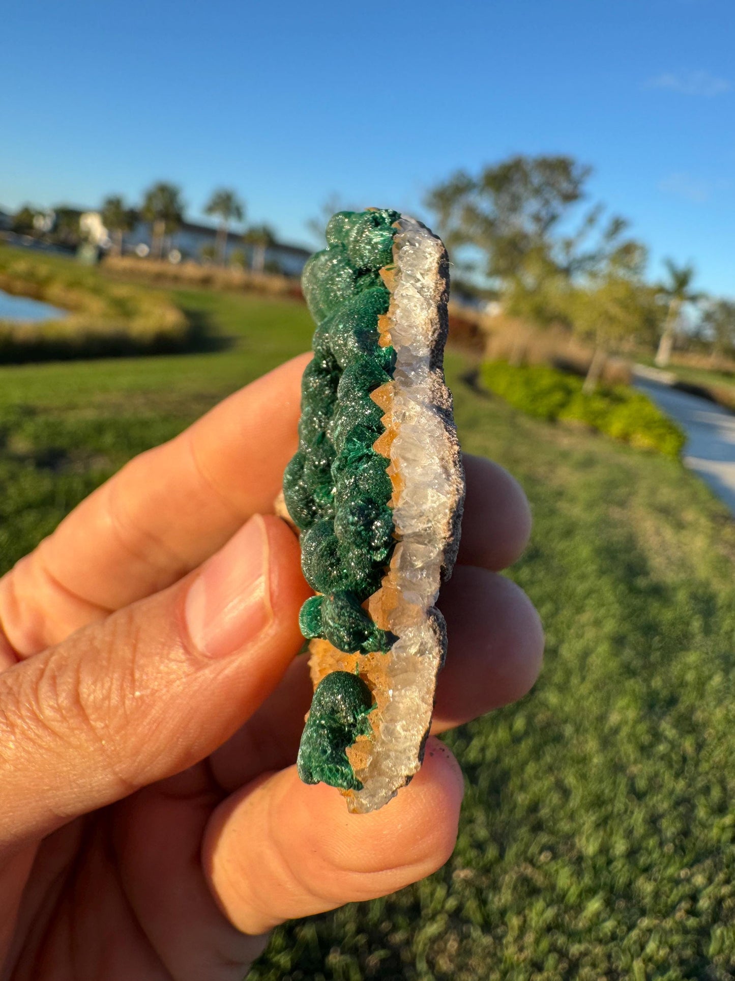 Barite with Botryoidal Malachite | Rare Congo Mineral | Flat Barite Crystals | Collector Specimen