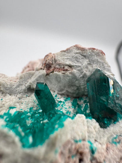 Natural Dioptase on Copper-Rich Matrix – Rare Crystal Formation from Congo – Collector Mineral Specimen