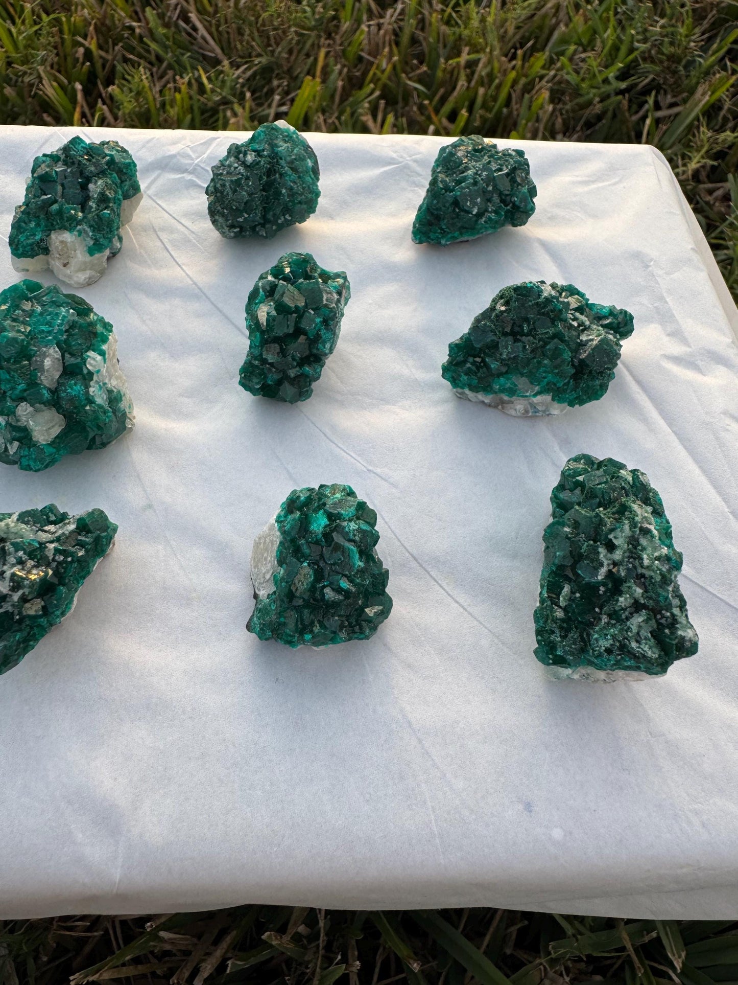 Dioptase on Quartz Lot | Congo Green Crystals | Small Specimens 1–2 Inch | Collector Quality