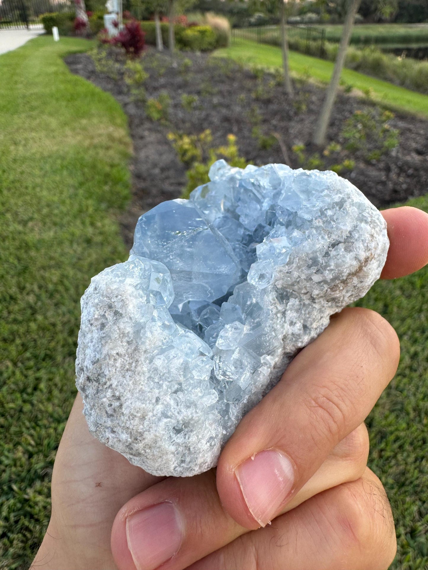 Celestine Crystal Cluster from Madagascar – Rare Blue Celestite
