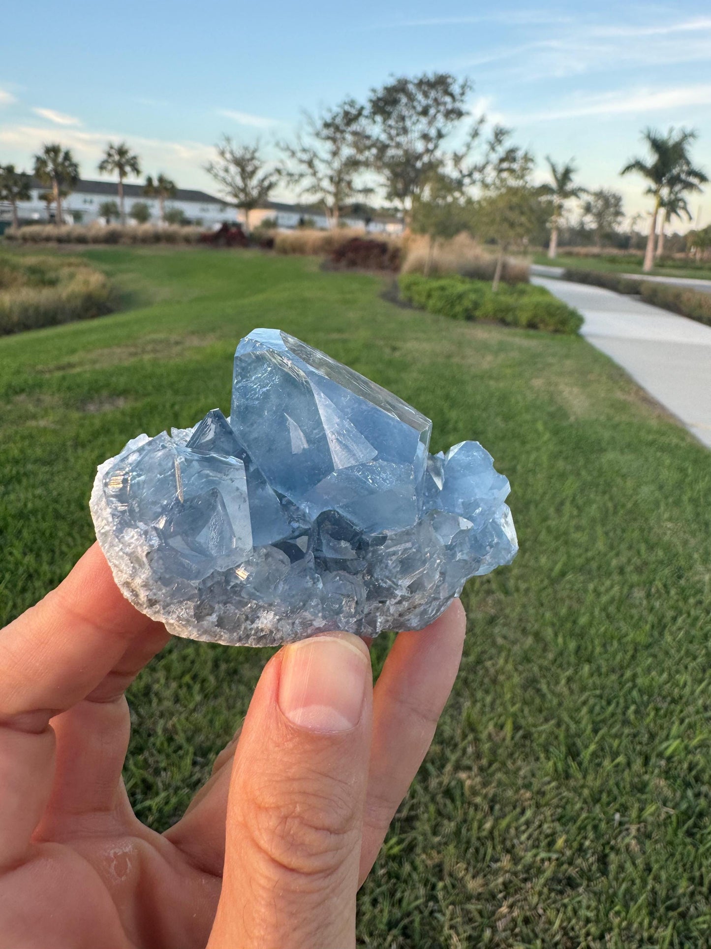 Celestite Geode from Madagascar – Handheld Specimen with Large Transparent Crystal – Meditation & Collector Mineral