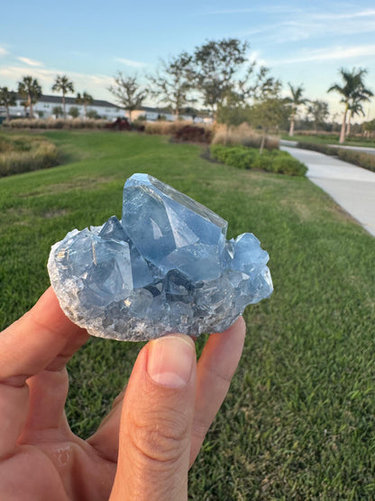 Celestite Geode from Madagascar – Handheld Specimen with Large Transparent Crystal – Meditation & Collector Mineral