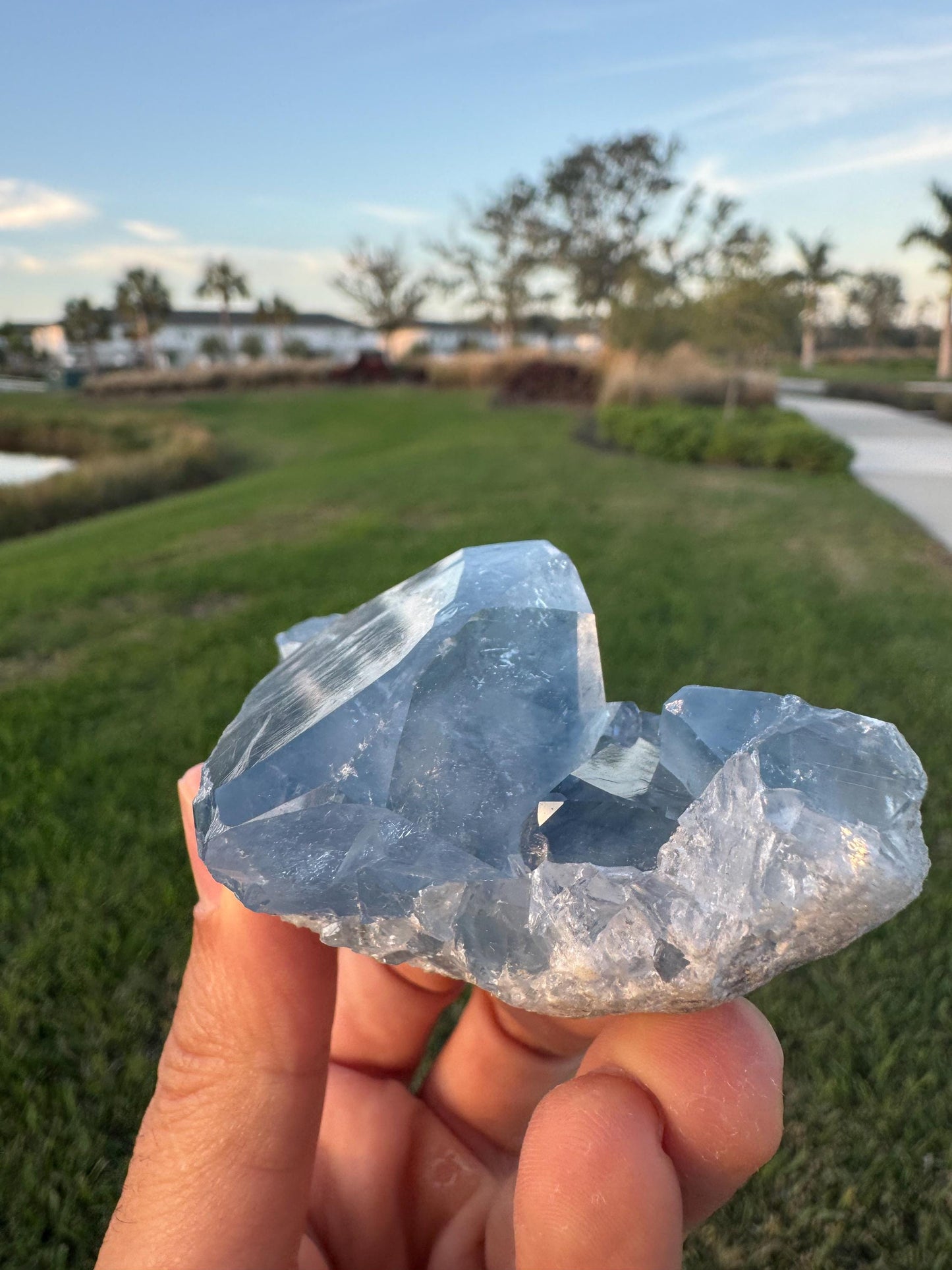 Celestite Geode from Madagascar – Handheld Specimen with Large Transparent Crystal – Meditation & Collector Mineral