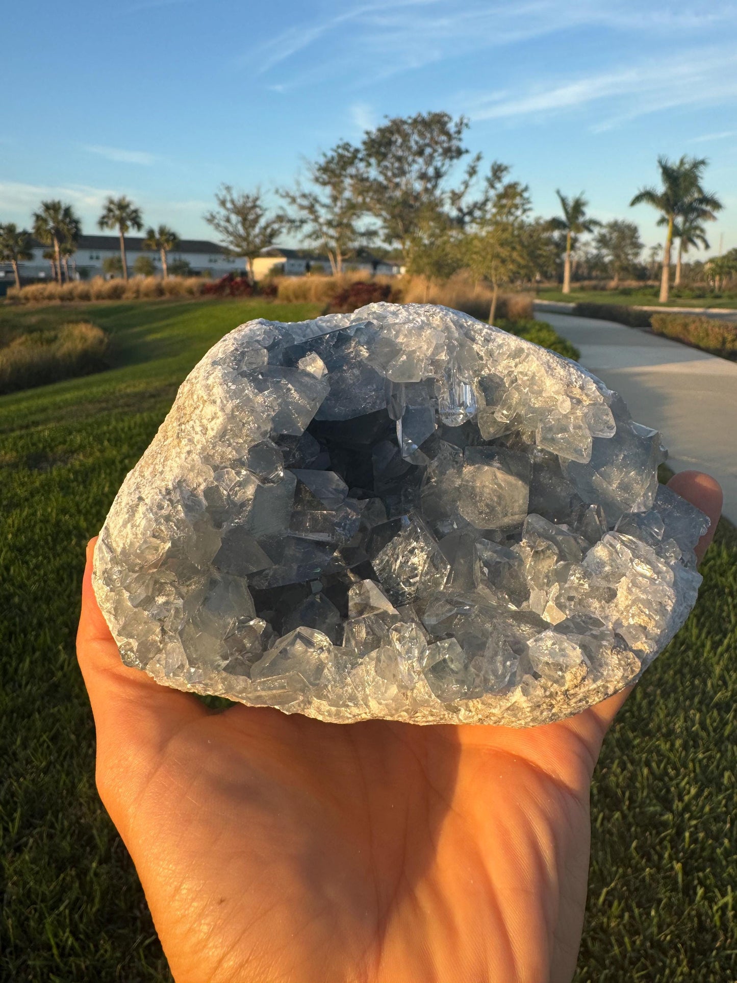 AAA Celestite Geode from Madagascar – Large Blue Crystals – Collector Decor Piece
