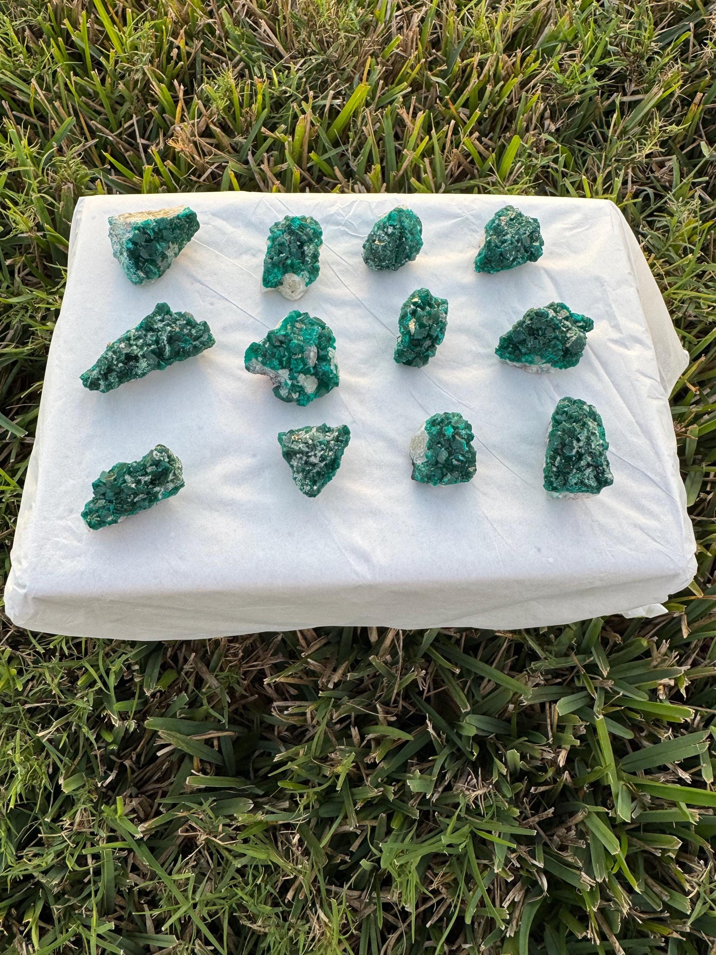 Dioptase on Quartz Lot | Congo Green Crystals | Small Specimens 1–2 Inch | Collector Quality