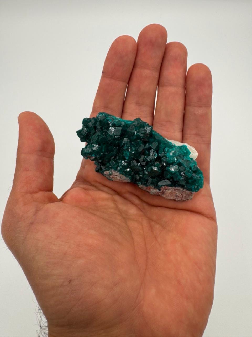Natural Dioptase on Quartz – Jobtaz from Congo – Vivid Green Crystal Cluster – Collector Mineral Specimen