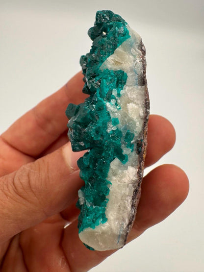 Natural Dioptase on Quartz – Jobtaz from Congo – Vivid Green Crystal Cluster – Collector Mineral Specimen