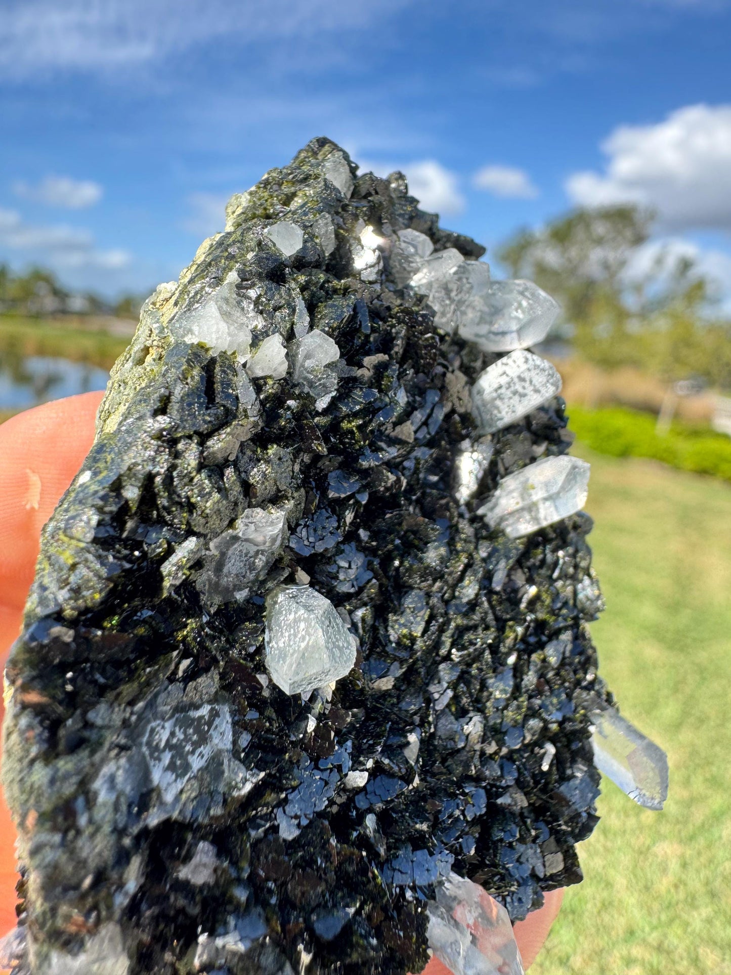Double-Sided Epidote with Quartz – Rare Natural Crystal Specimen – Collector Mineral