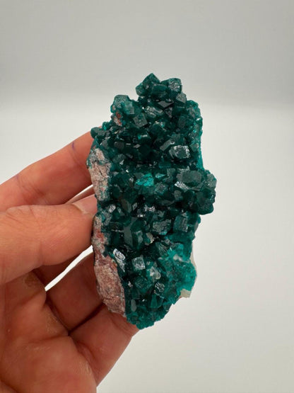 Natural Dioptase on Quartz – Jobtaz from Congo – Vivid Green Crystal Cluster – Collector Mineral Specimen
