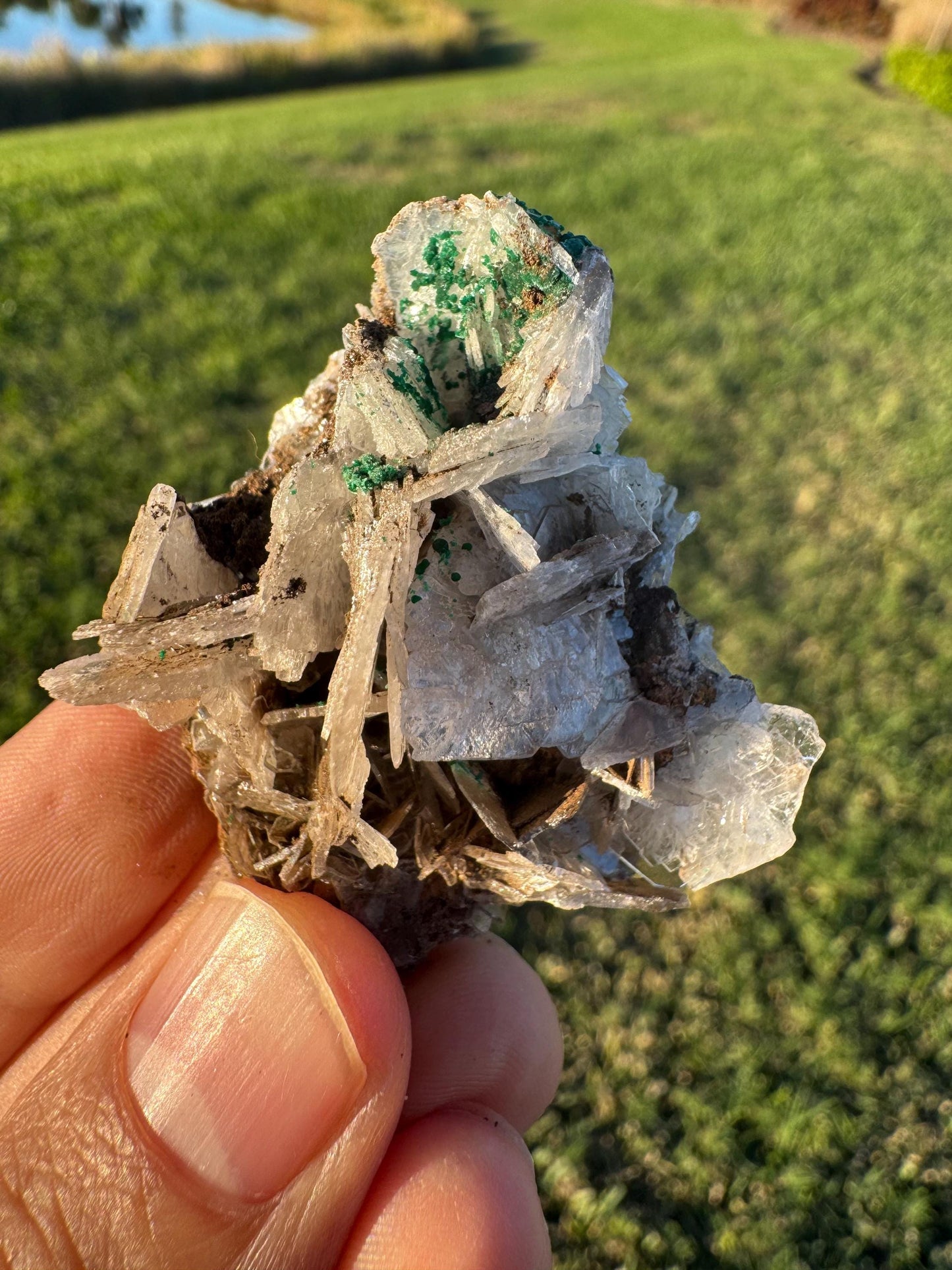 Barite with Malachite | Rare Congo Mineral Specimen | Flat Barite Crystals | Collector Piece