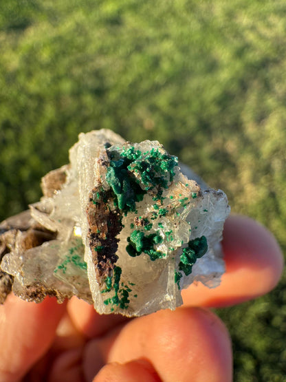 Barite with Malachite | Rare Congo Mineral Specimen | Flat Barite Crystals | Collector Piece