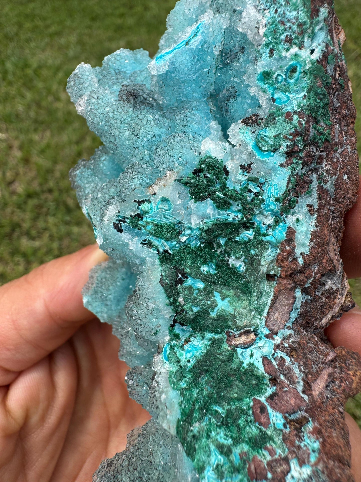 Drusy Chrysocolla Specimen – Rare Blue Mineral from Lubumbashi, Katanga (Congo) – Collectible Crystal