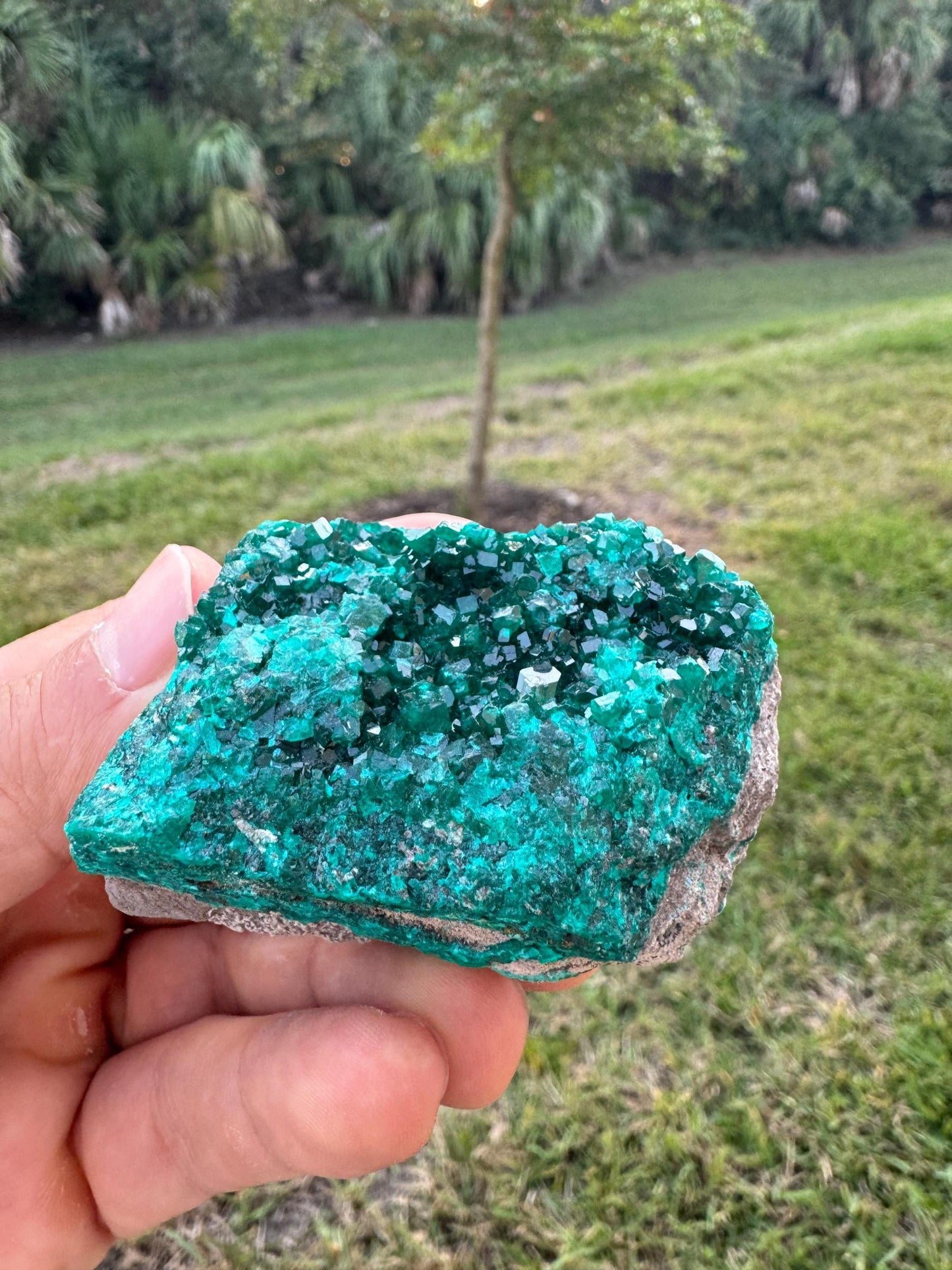 Natural Dioptase Crystal on Matrix – Green Gem Cluster from Congo