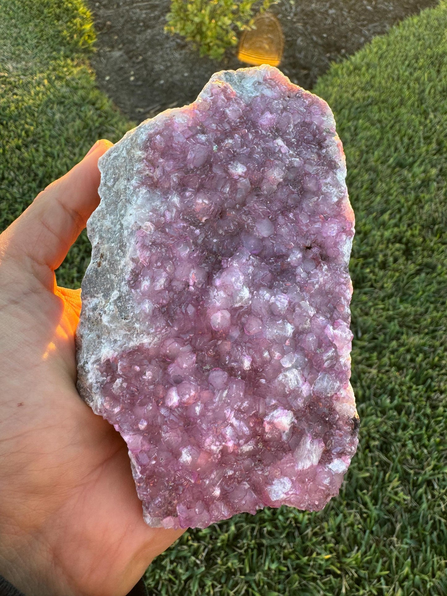 Cobalto-Calcite Pink Crystal Cluster from Congo – Rare Thick Crystals