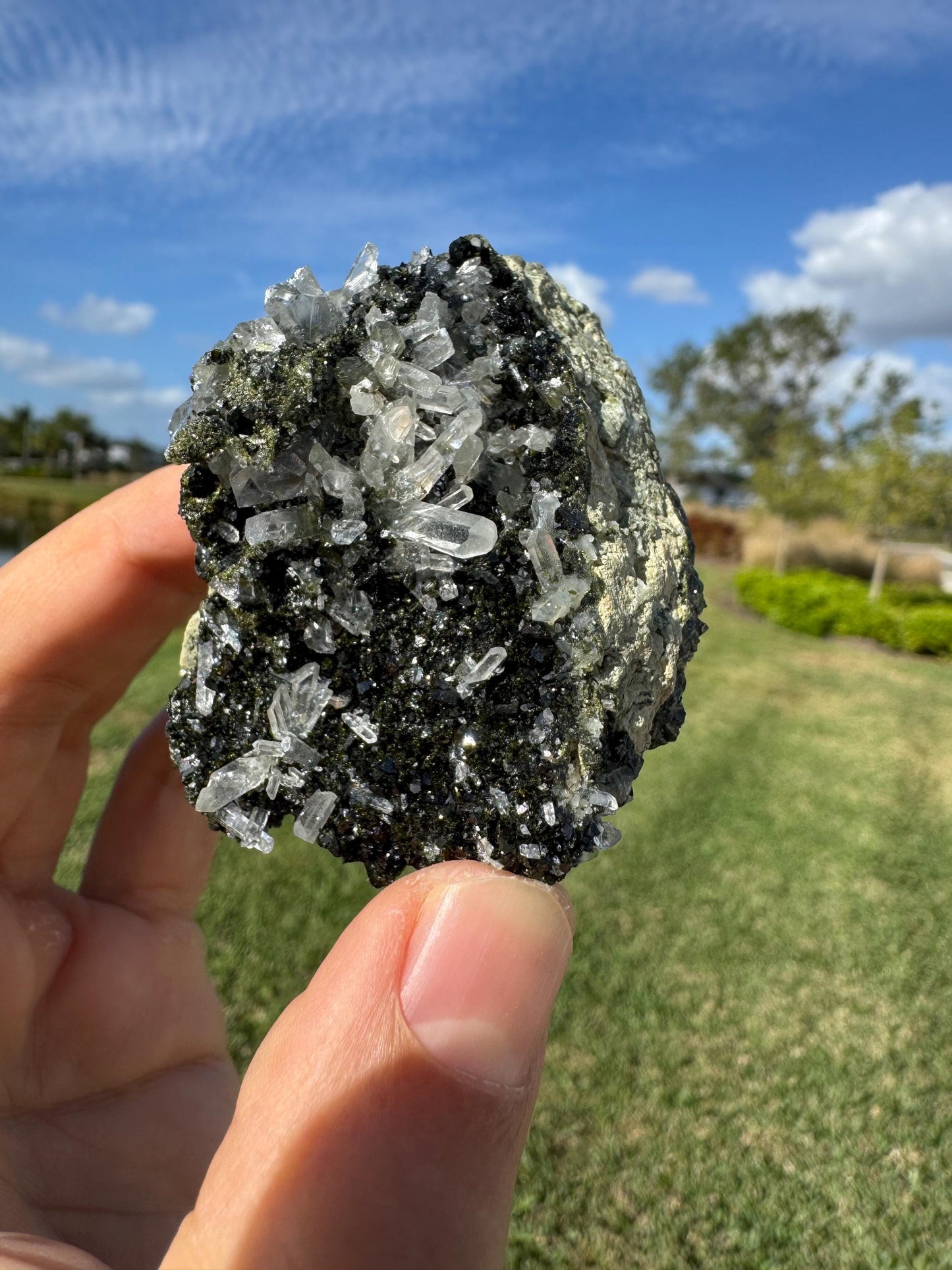 Double-Sided Epidote with Quartz – Rare Natural Crystal Specimen – Collector Mineral